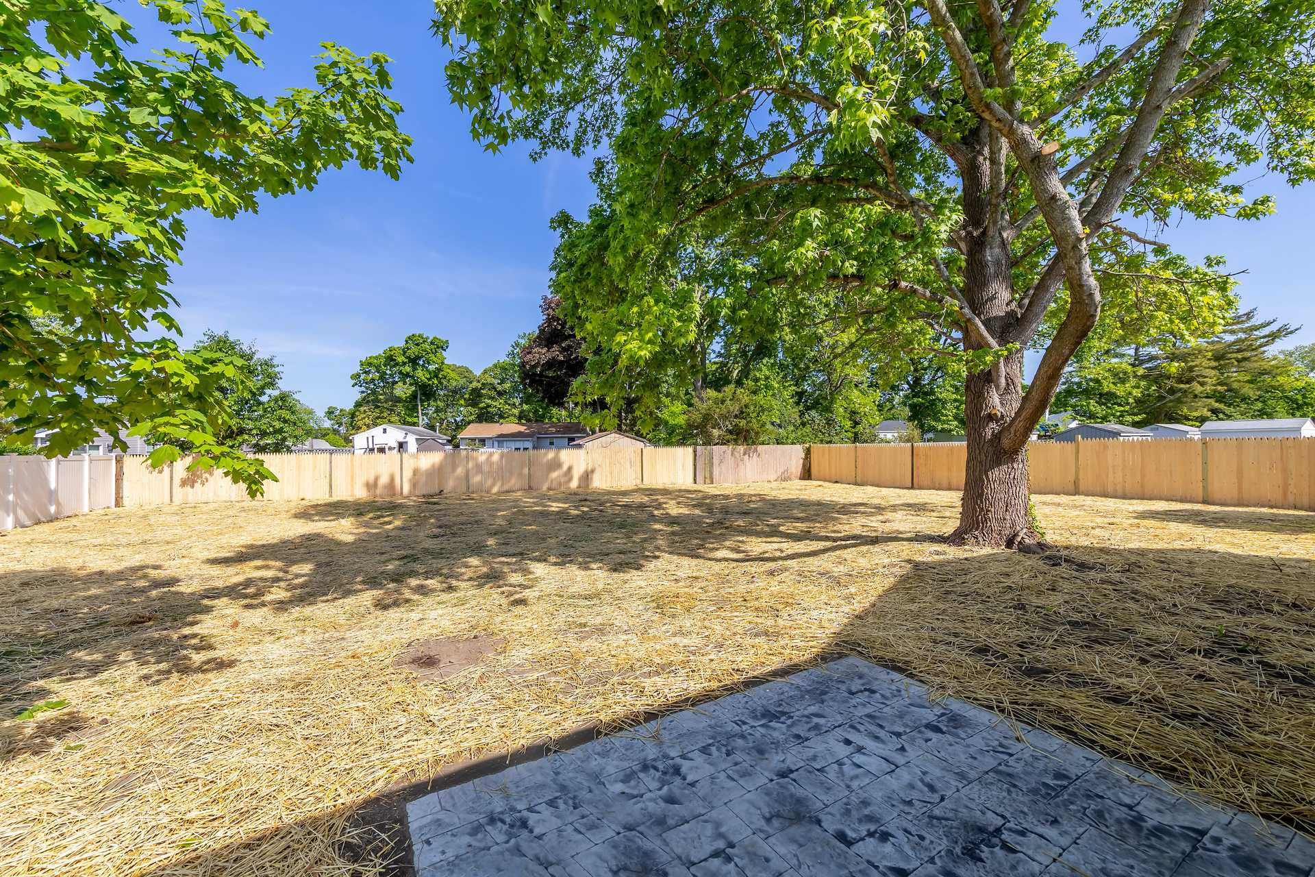 Cloudinary image with public_id: 732d628a-b22e-425c-9e9b-f3873d154a26/r7l9ufwlrvkennsrsk7q