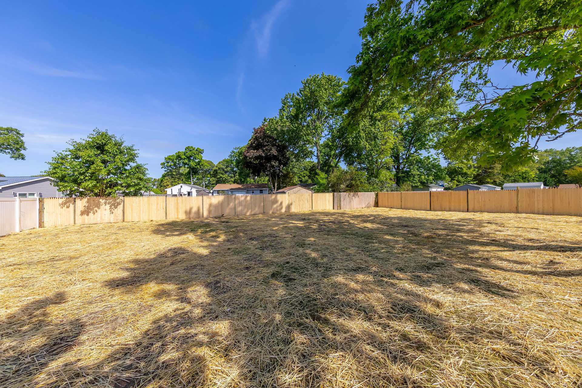 Cloudinary image with public_id: 732d628a-b22e-425c-9e9b-f3873d154a26/tkn7dzwvihibvvifg5jb